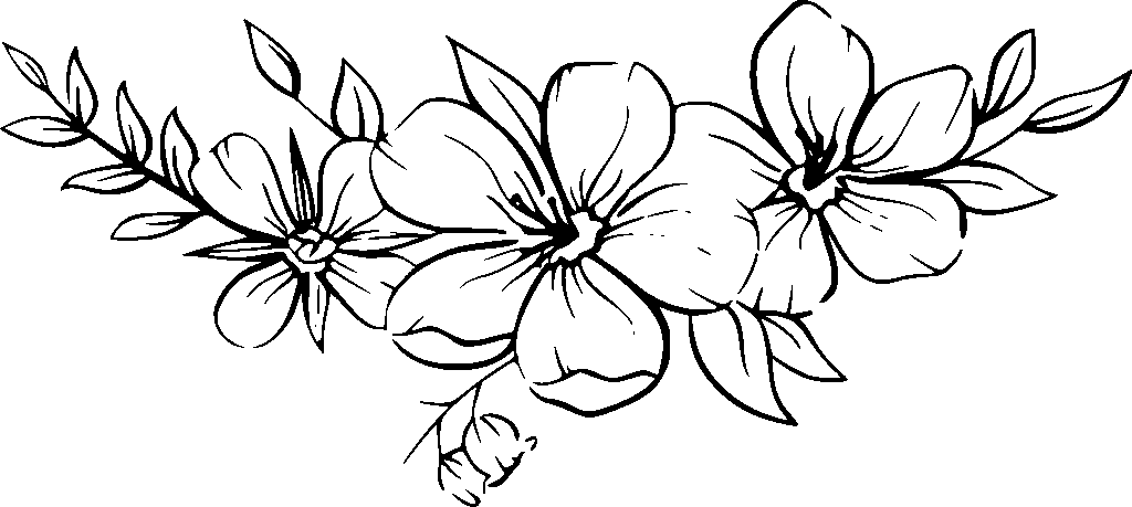 Thin Line floral drawing